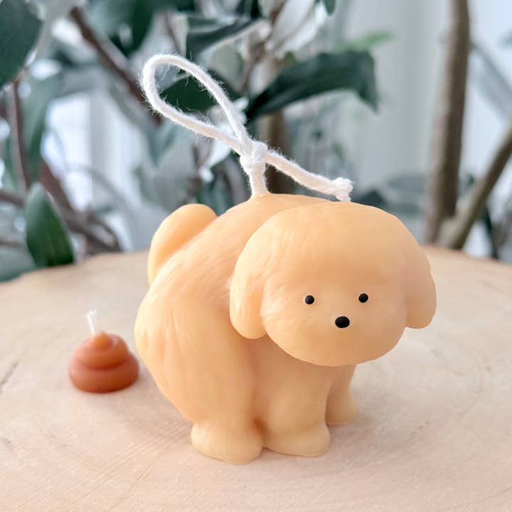Dog Poop Candle Set for wholesale by The Cutest Hits