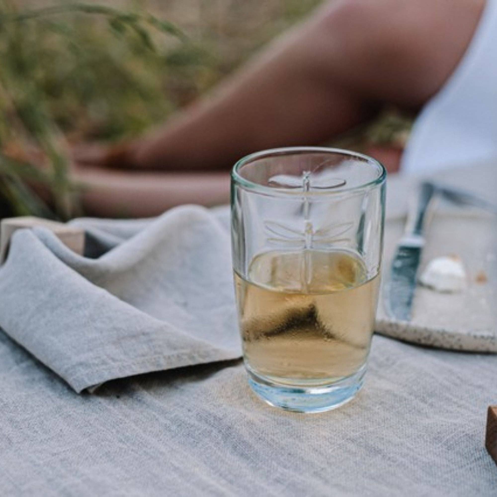 La Rochere - Wholesale Drinking Glass/Cup - Dragonfly Juice Glass Set-62