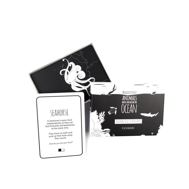 Interactive Flash Card Set - Magnificent Animals from Above for wholesale by The Little Black & White Book Project