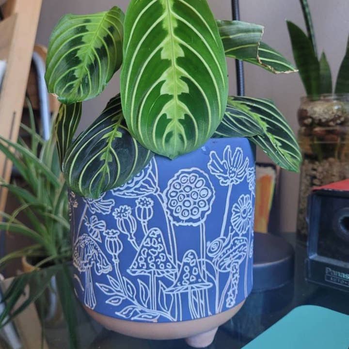 Simply Supplied Co - Wholesale Plant Pot - Terracotta Mushroom Planter | Artisanal Clay Pot