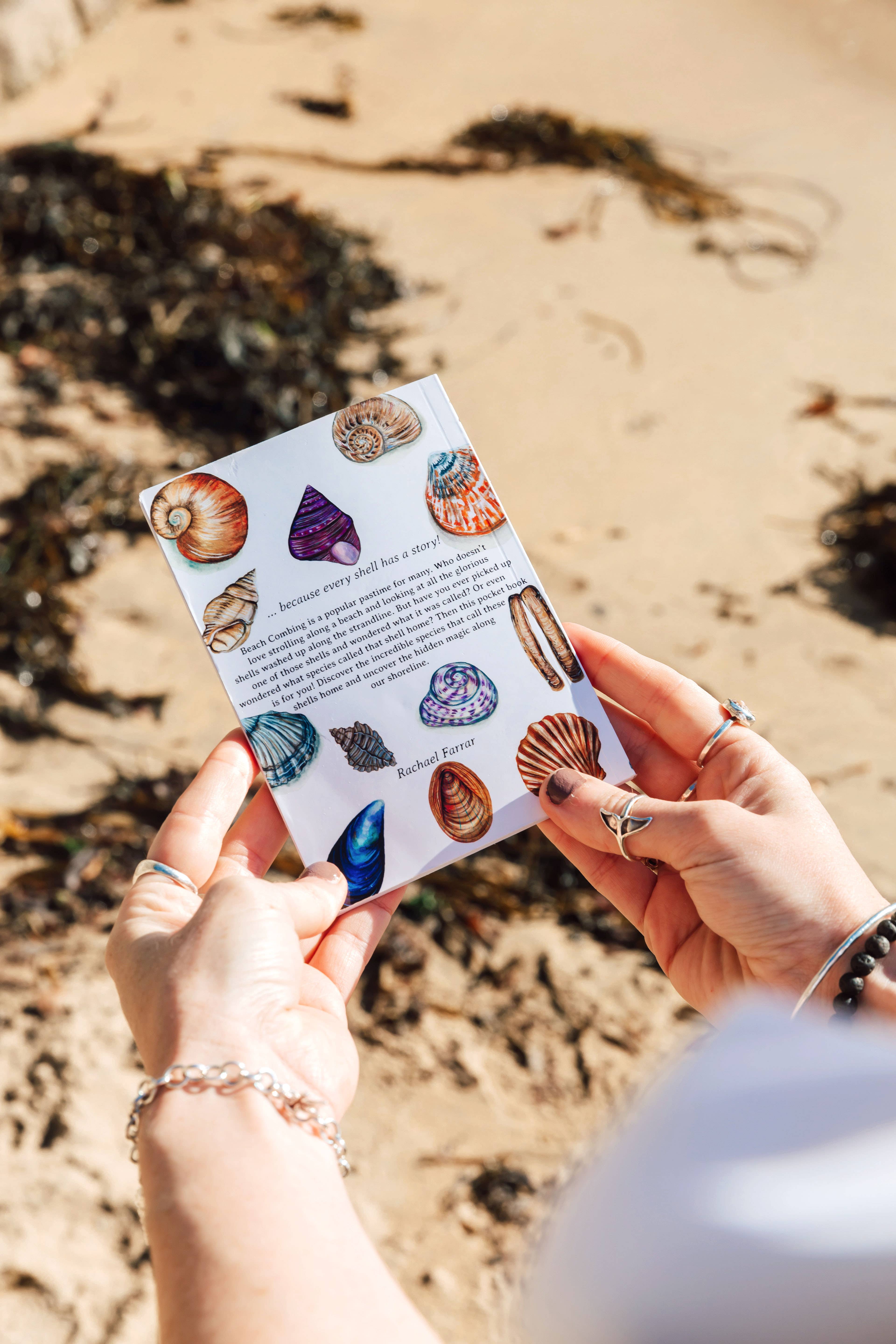 Rachael Farrar Artist – wholesale Nature and outdoors – Beach Combing Pocket Guide1