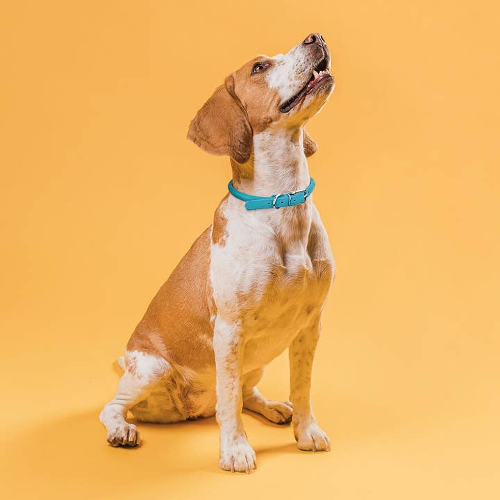 Dogline - Wholesale Pet Collar - Dog - Soft Leather Round Collar