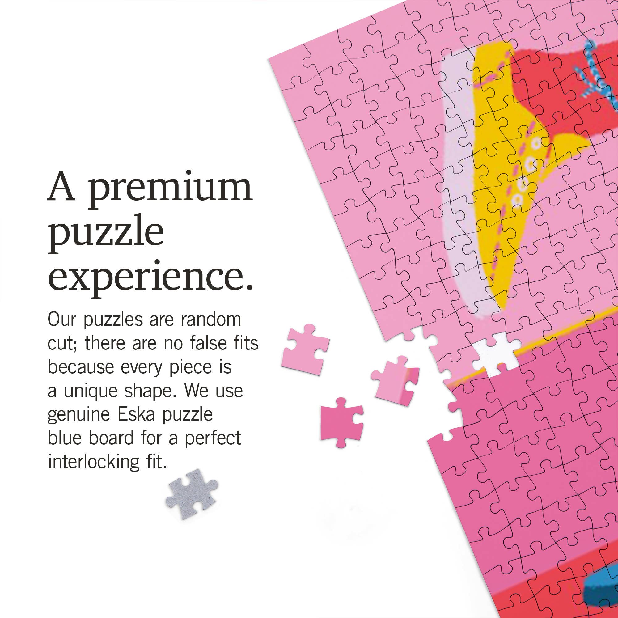 Lantern Press – wholesale Puzzle – Adult – 1000 PIECE PUZZLE Life's A Ride, Skateboarding, Let it Roll3