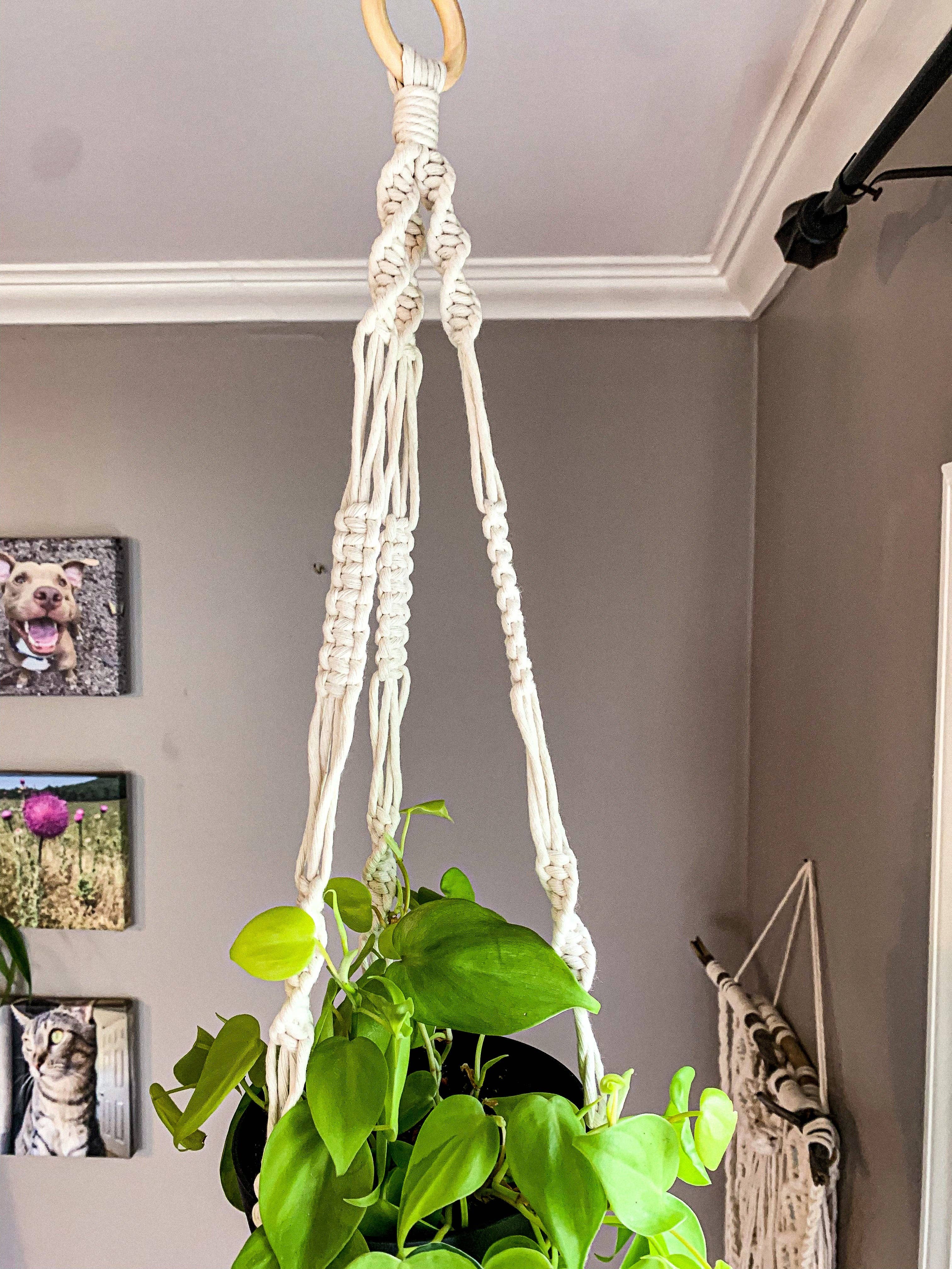 Why Knot - Wholesale Hanging Planter - Plant Hanger "Shan" - Handmade Macrame Pot Holders1