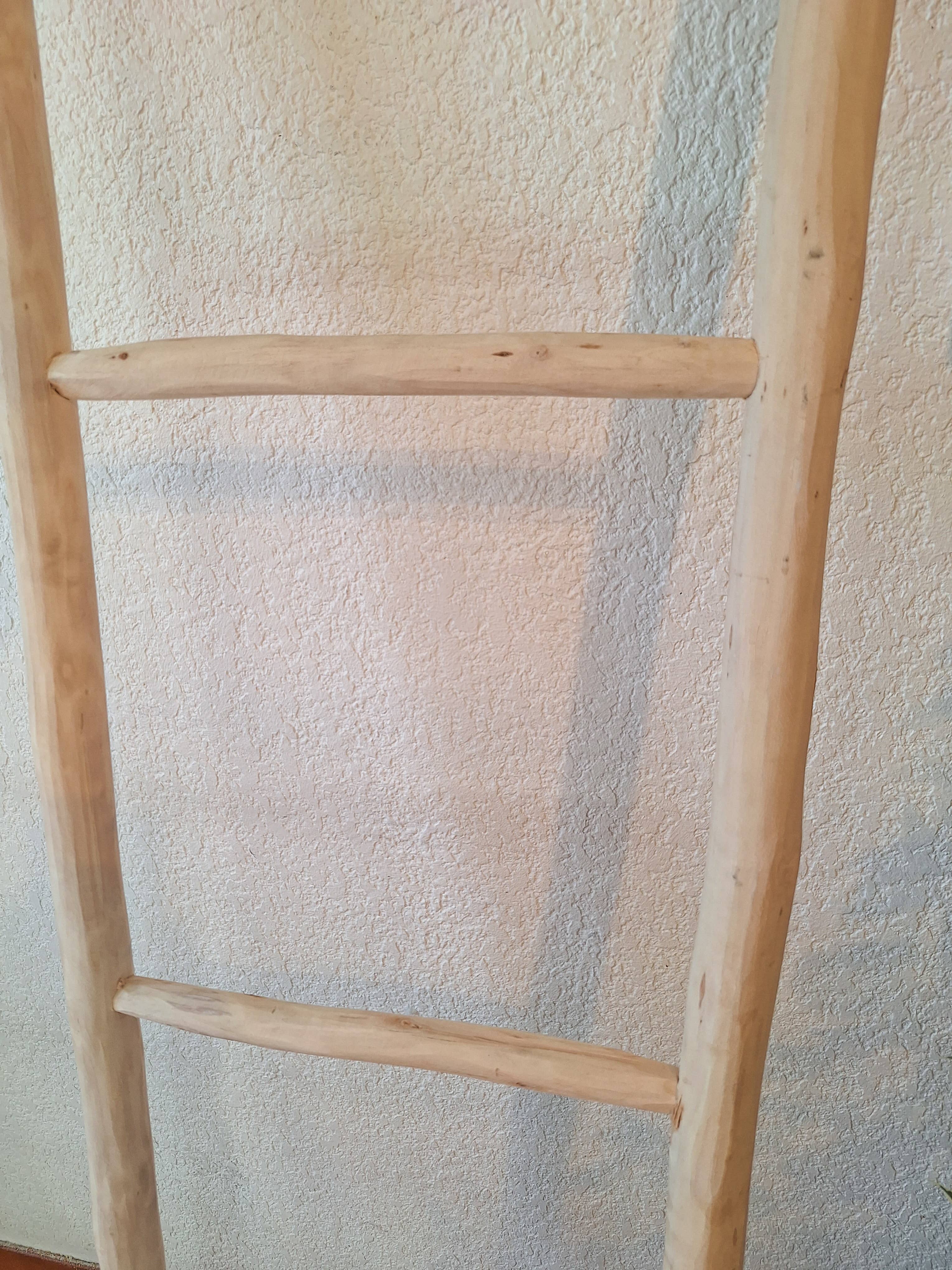 LeBazare - Wholesale Free Standing Shelf - Decorative wooden ladder1