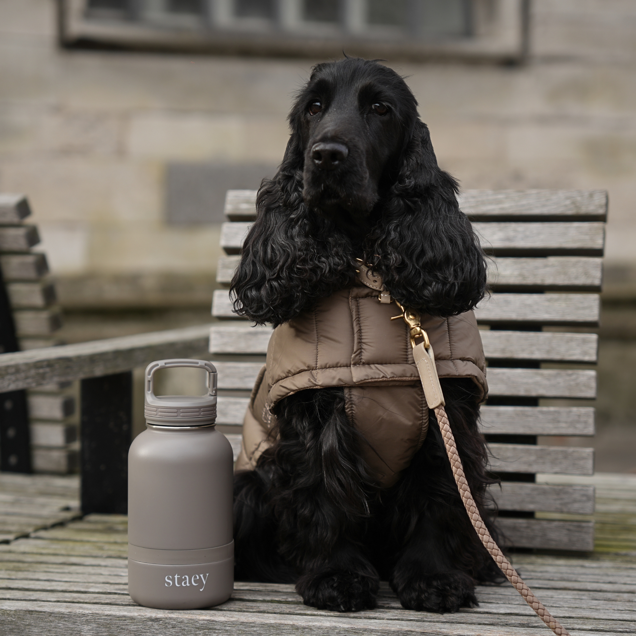 Staey - Wholesale Pet Water Bottle - Dog - Noona 2-in-1 Bottle with Bowl | Stainless Steel2