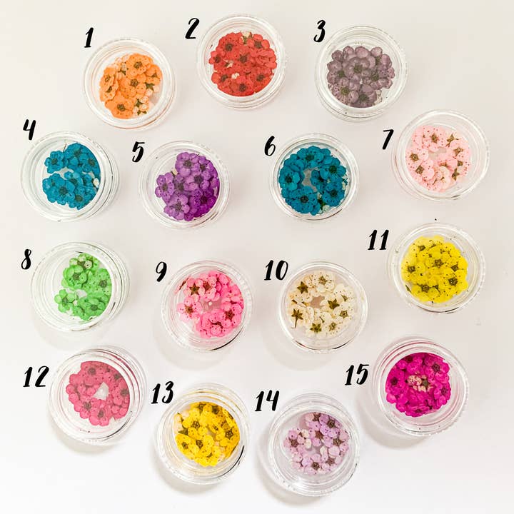 The Glitter Hut - Wholesale Dried/Pressed Flowers - Mini Dried Pressed Flower 20 pcs Pot