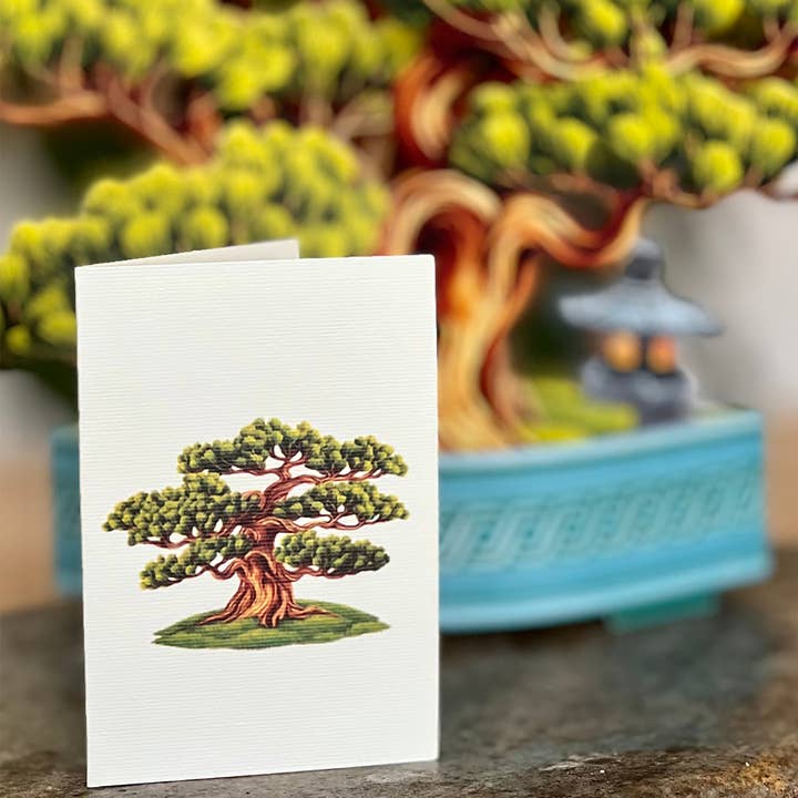 FreshCut Paper LLC - Wholesale Everyday Greeting Card - Wisdom Bonsai (8 Pop-up Greeting Cards)4