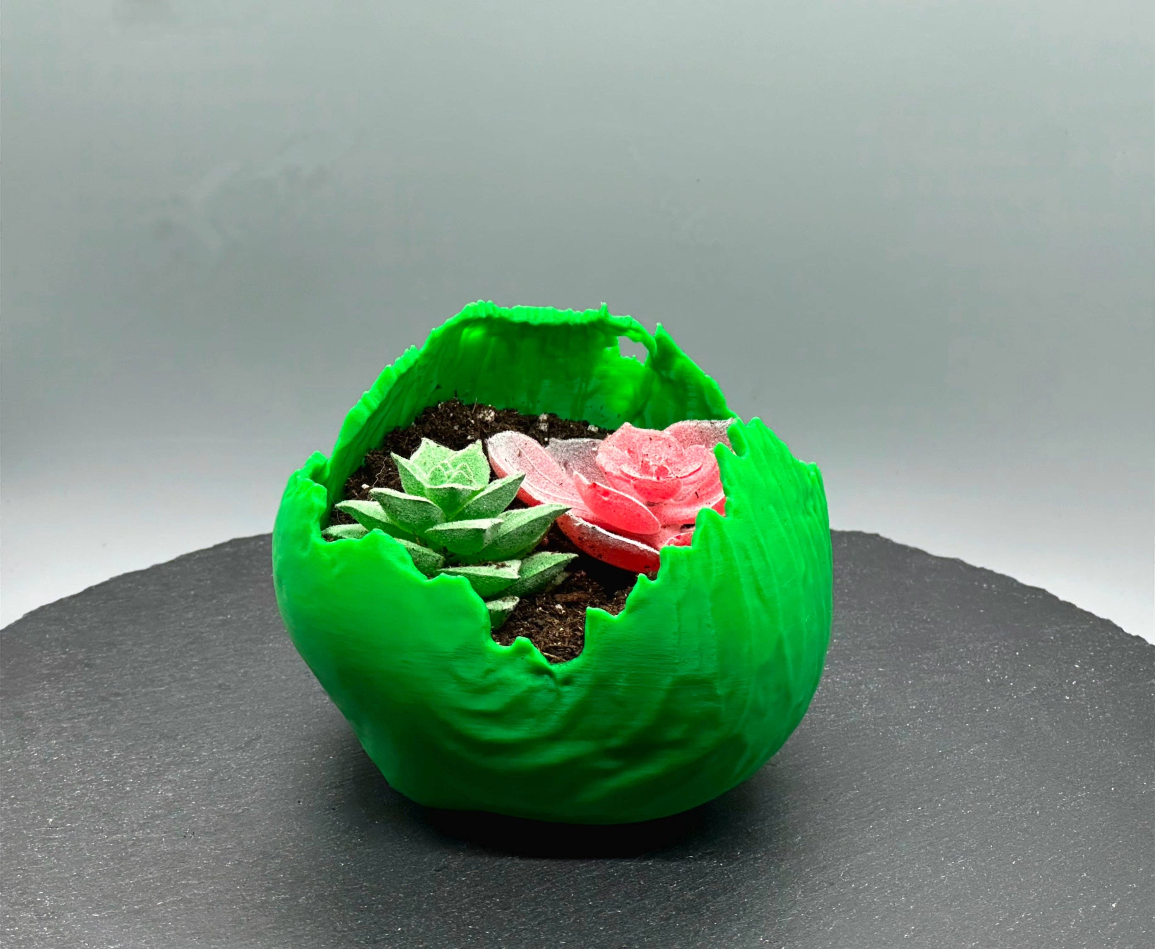 3DHotShop - Wholesale Plant pot - Cabbage Planter0