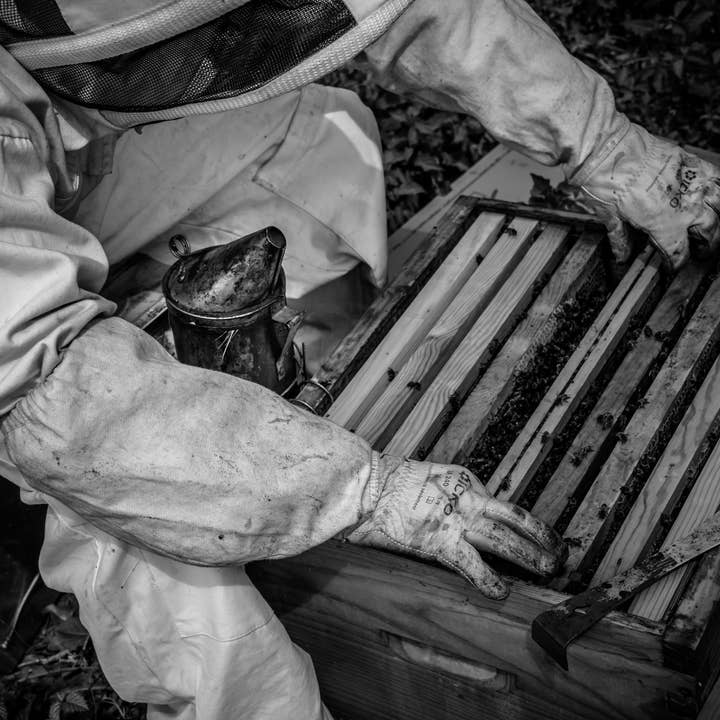 La Manufacture du Miel - Vendita all'ingrosso Miele - Miele di Garrigue - 250 g6