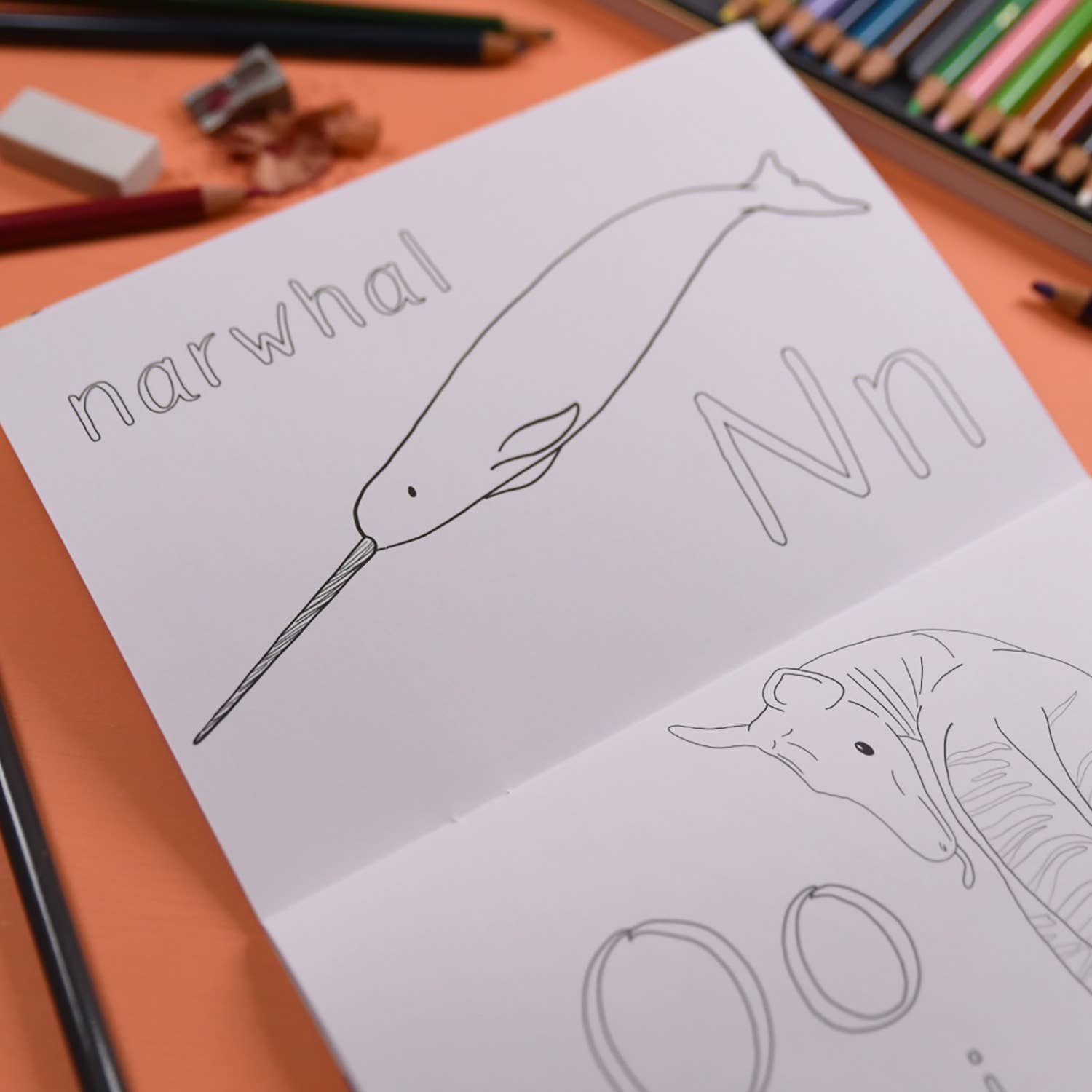 Button & Squirt – wholesale Colouring and activity book – kids and baby – Alphabet of Amazing Animals Colouring Book2