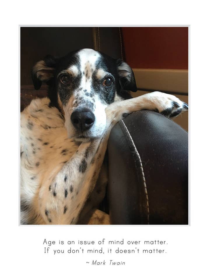 B737 - Q for wholesale by Stonehenge Designs