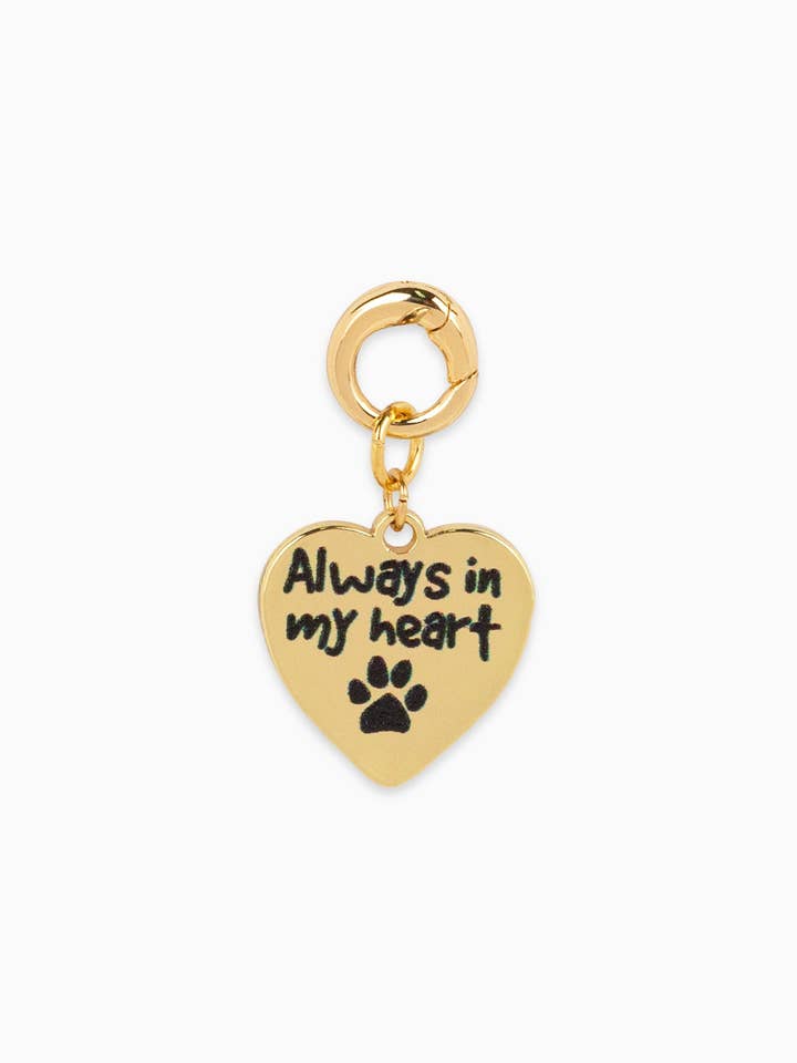 Gold Heart with Printed Dog Paw Jewelry Charm for wholesale by Sessori