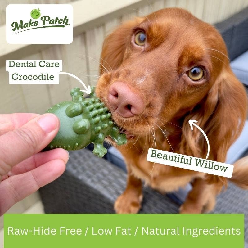 Miro & Makauri – wholesale Pet treats – Dog – Vegan dog dental chews - Maks Patch "Croc Bites"1