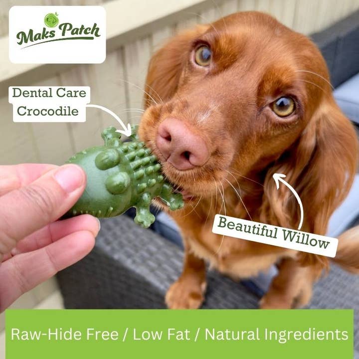 Miro & Makauri – wholesale Pet treats – Dog – Vegan dog dental chews - Maks Patch "Croc Bites"1