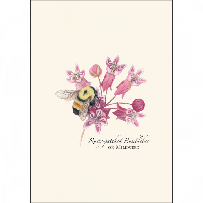 Earth Sky + Water - Wholesale Stationery/Notecard Set - Bumblebee Assortment Notecard Set3