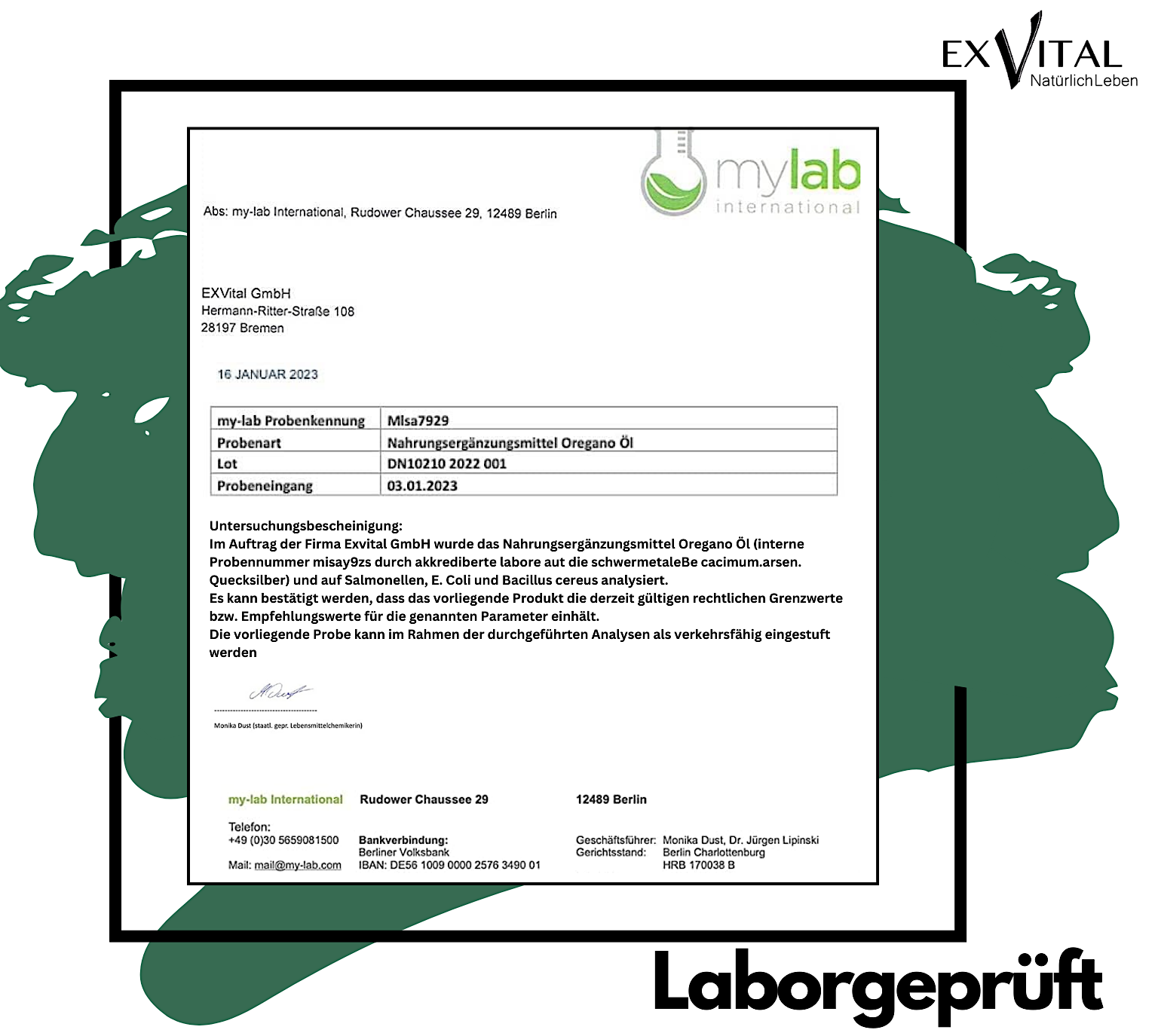 EXVital - Wholesale Oral Supplement/Vitamin - Oregano oil with 80% carvacrol7