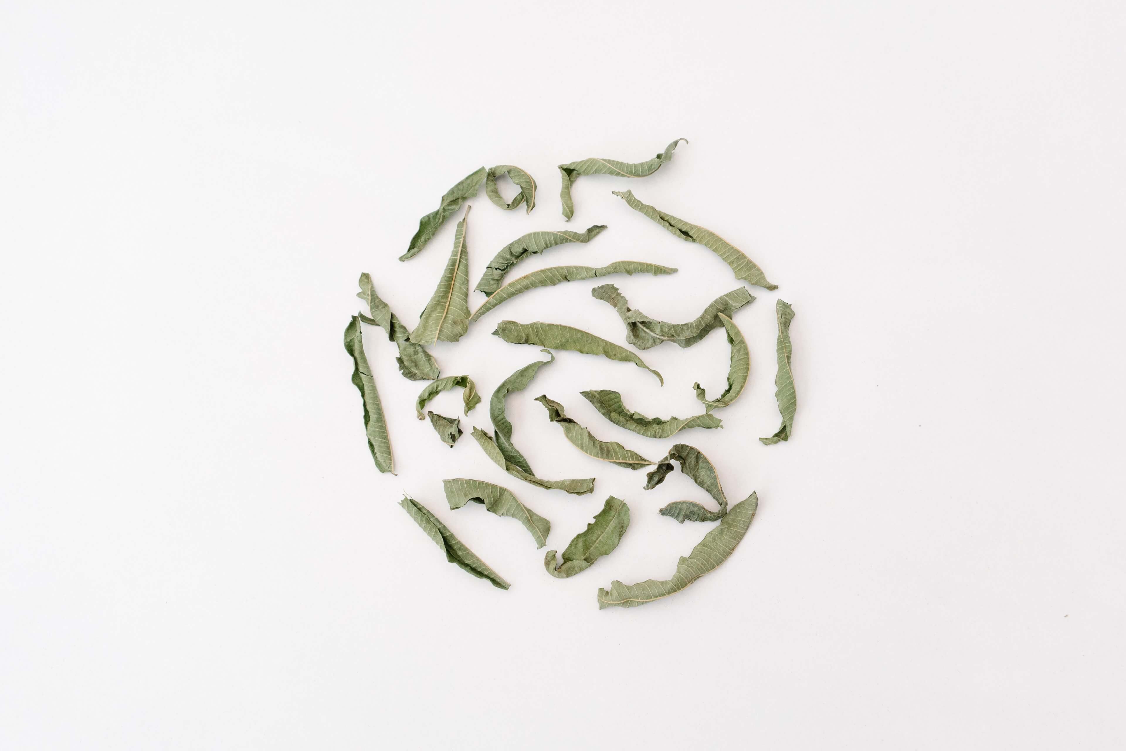 rhoeco - fine organic goods - Wholesale Tea Bags - Monovarietal Herbal Teas [Bio] - Compostable Pyramid Teabags4