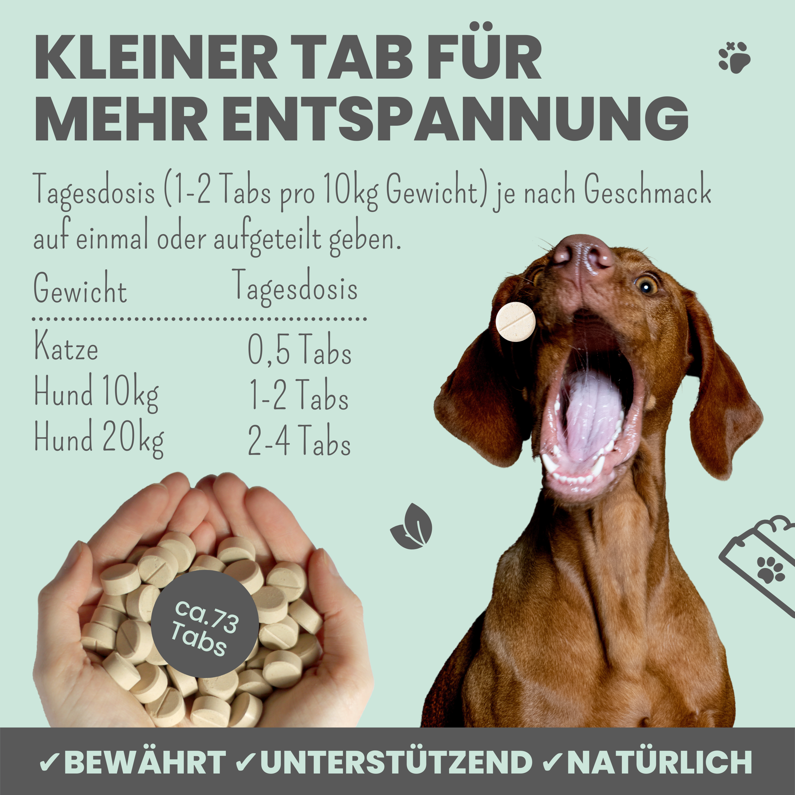 Noms+ – Großhandel Nahrungsergänzungsmittel für Haustiere – Katze/Hund – Wohlfühltabs für Hunde bei Stress, Angst & Unruhe3