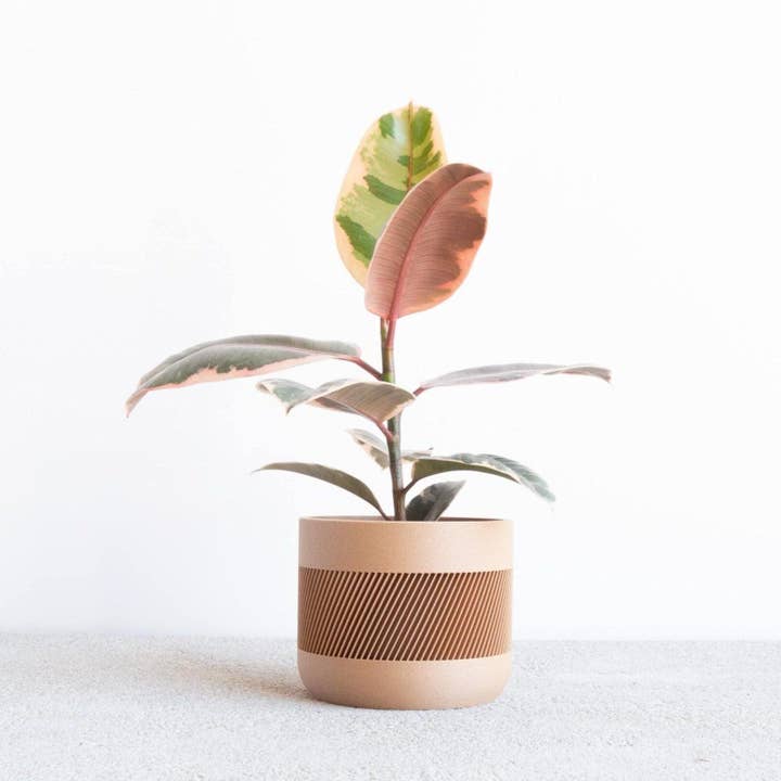 MINIMUM DESIGN – wholesale Kruka – Träkruka inomhus - Beige, Svart, Grön, Mist White - Therma