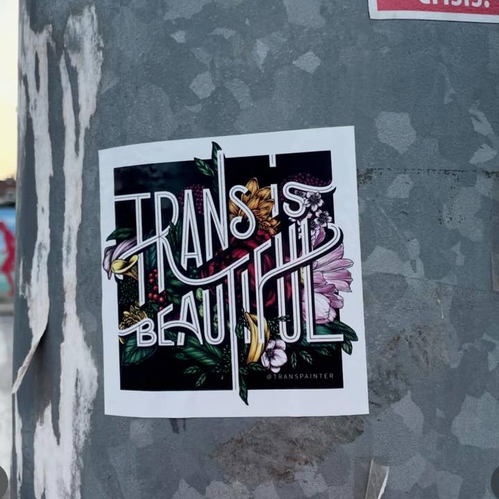 Transpainter - Vente Autocollant - Autocollant Trans est Beau | Ensemble d'Autocollants Transgenres