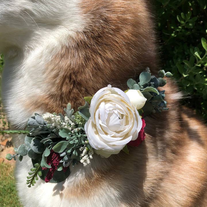 Dog Flower Collar: Burgundy, Silver Dollar, Wedding for wholesale by Wolf and Wonder