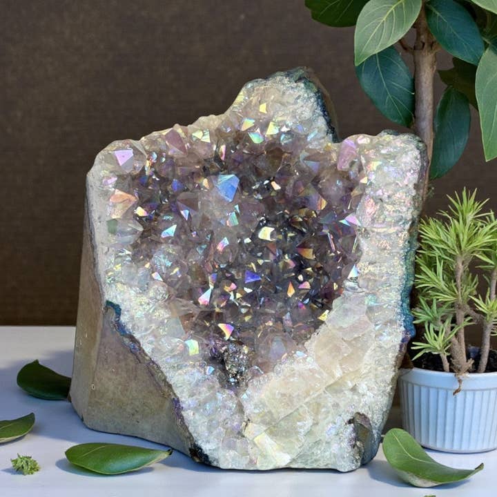 Géode de Base Coupée - Aura Lavande, Grande pour la vente par Earths Elements Wholesale