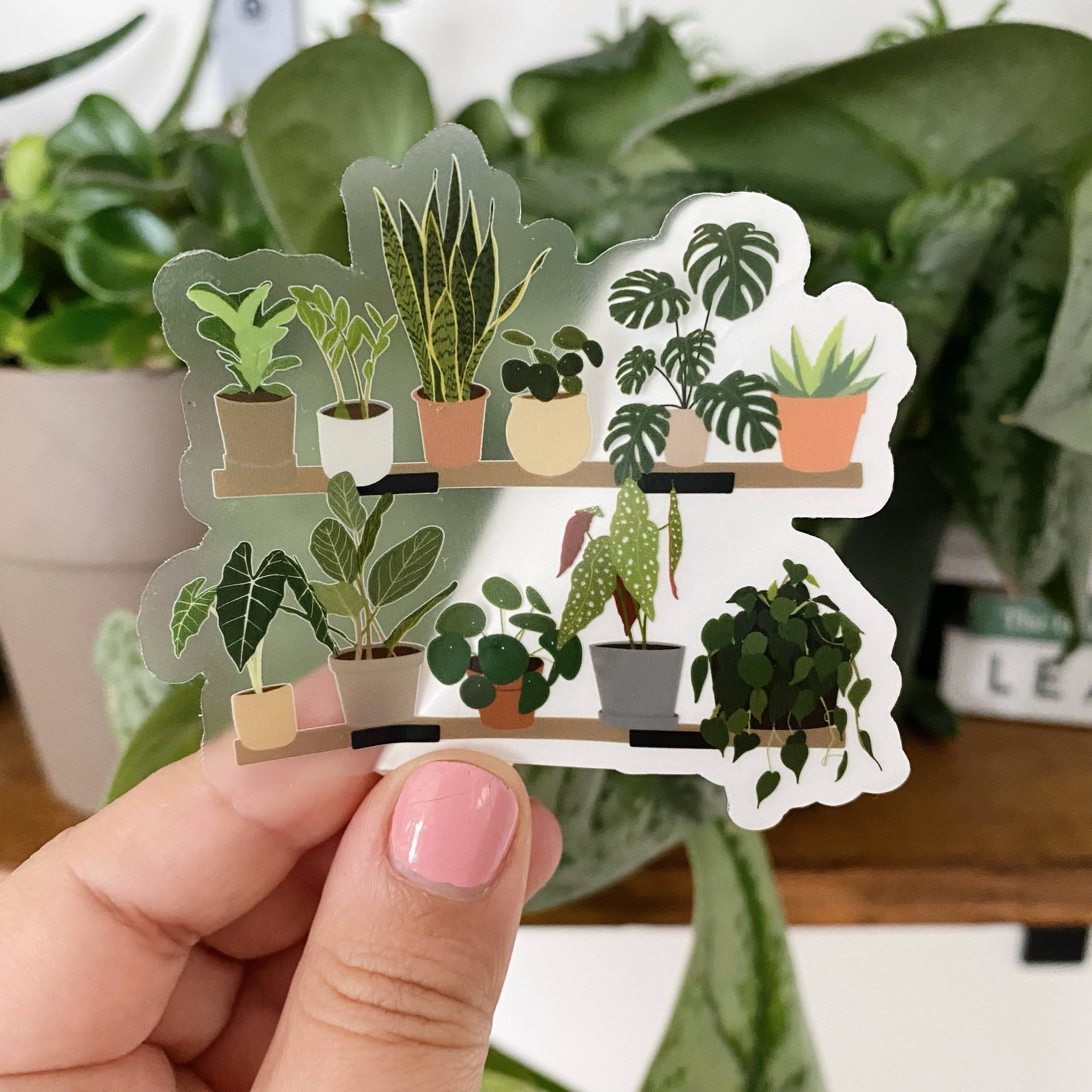 Clay Collection Co. - Wholesale Sticker - House Plant Shelf Collection CLEAR Sticker
