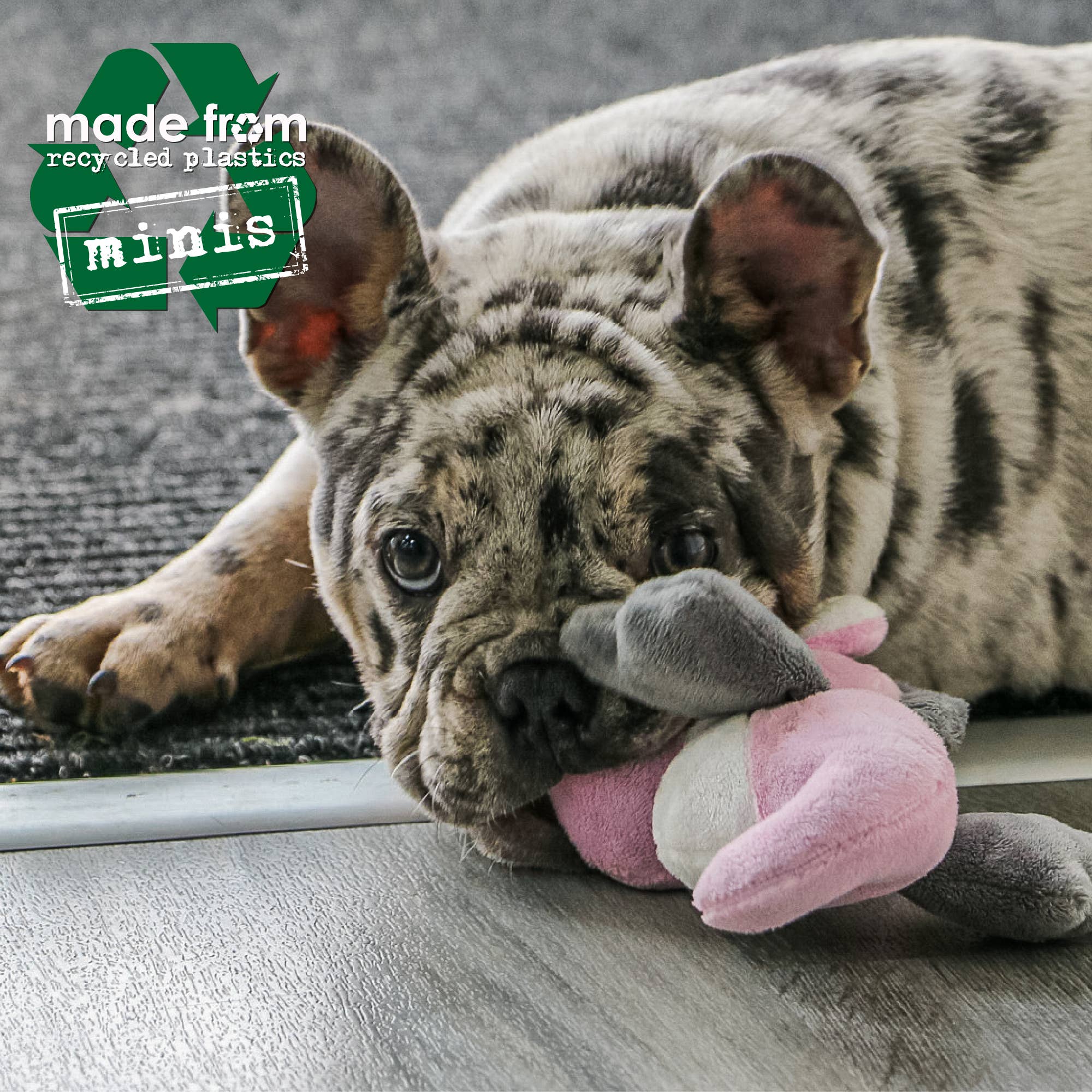 Ancol Pet Products Ltd – wholesale Pet plush toy – Dog – Made From Mini Turtle Seal And Seahorse5