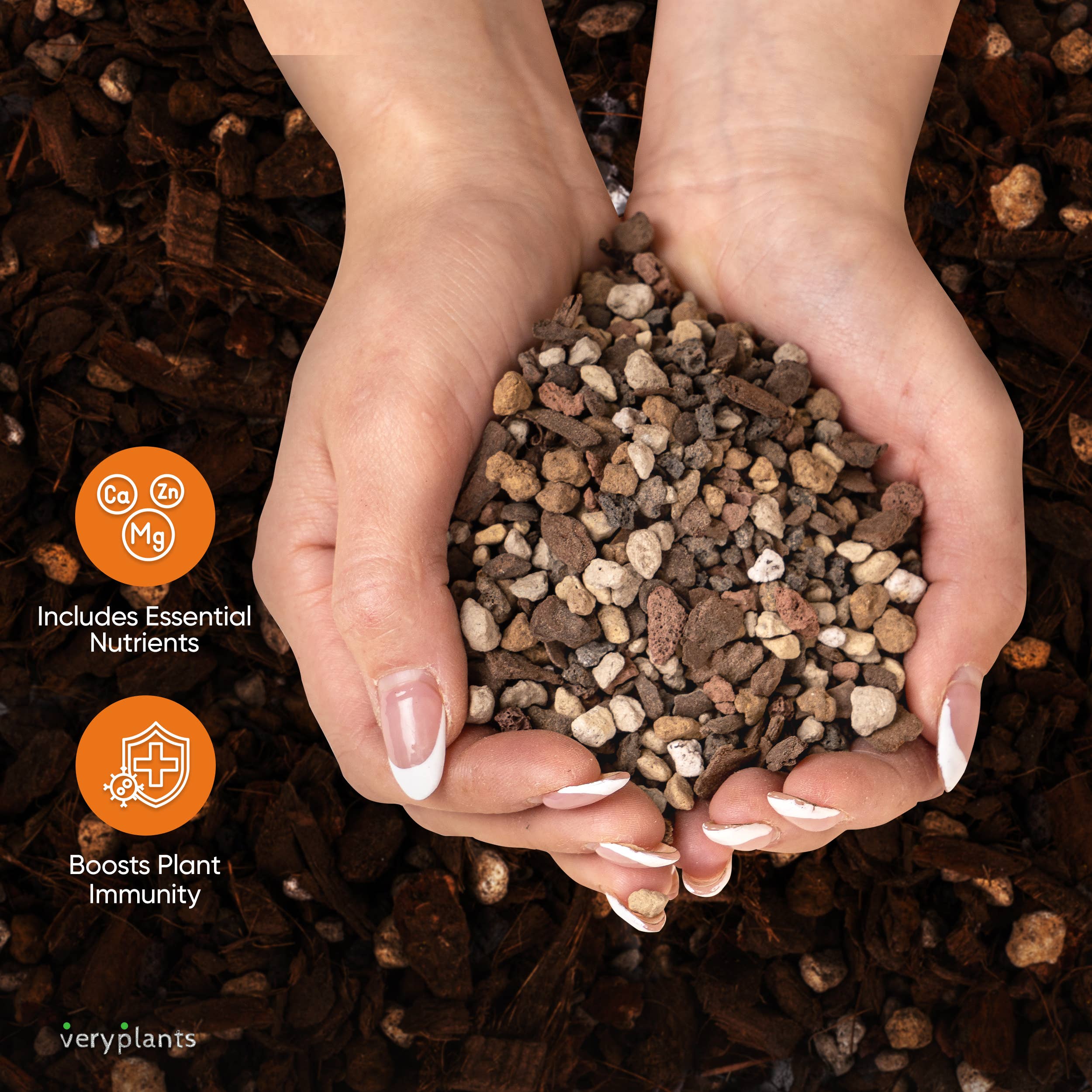 Veryplants US LLC - Wholesale Planting/Potting Soil - Molly's Succulent Mix - Premium Soilless Gritty Mix- 3 Quart2