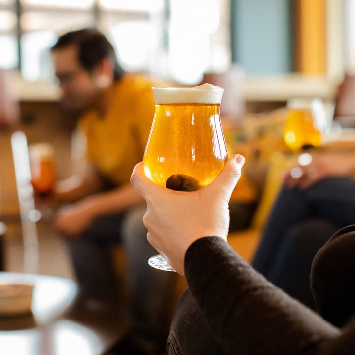 Brew Muse - Wholesale Drink chilling cubes - Beer Stones Set - 2 Hops2