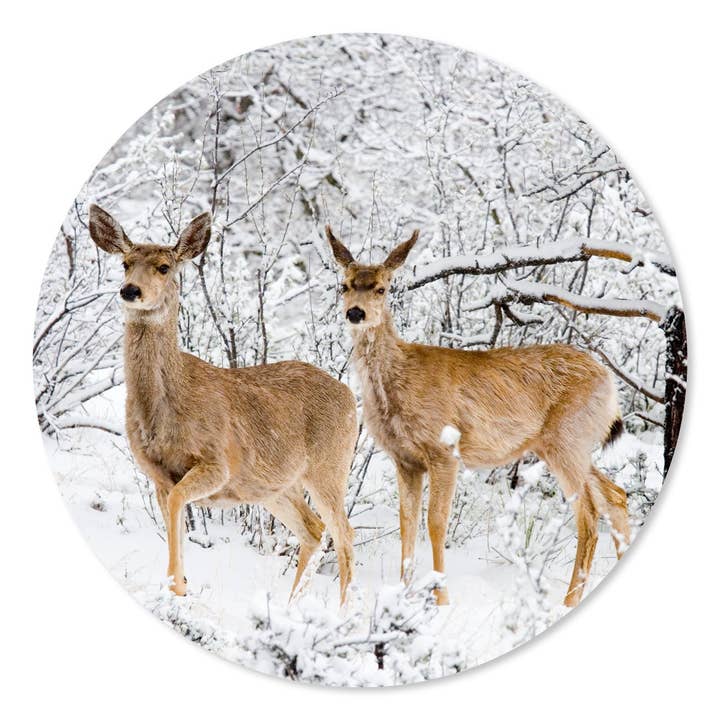 Wall Circle Deer In The Snow for wholesale by GM decoratie