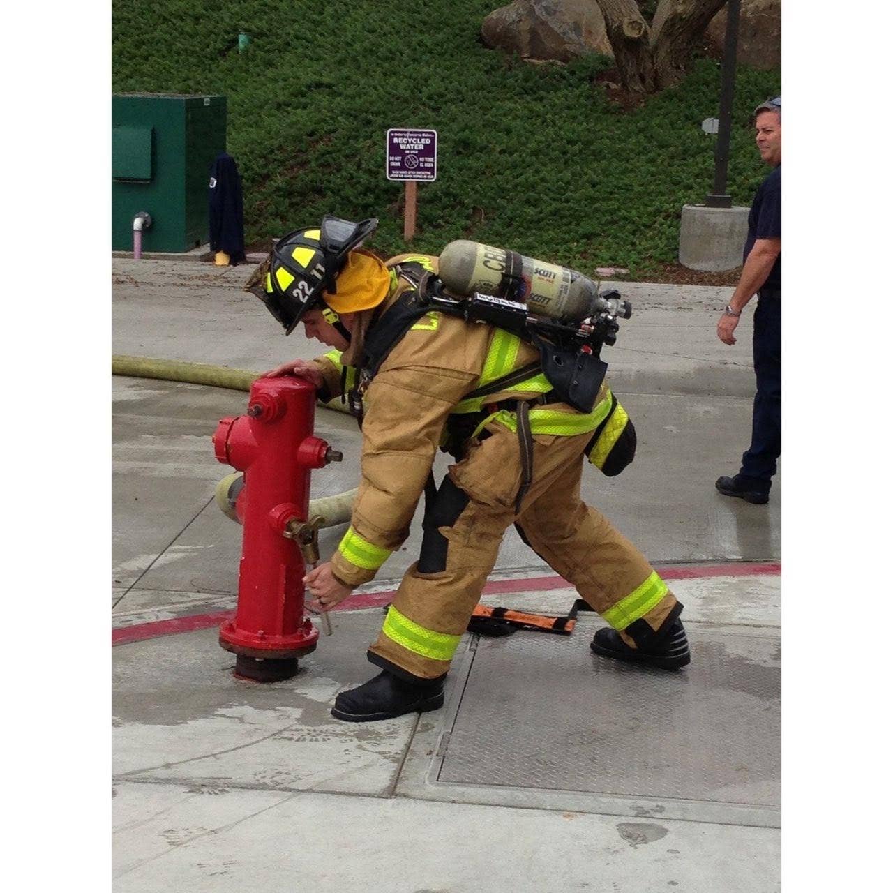 Viz Art Ink - Wholesale Art Print - Art Print - A Blazing2