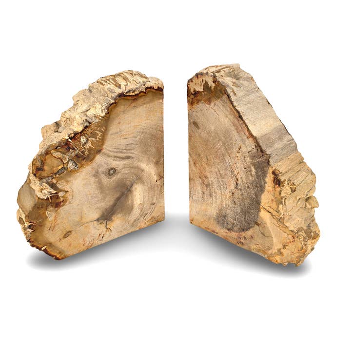 Stone Bookends, Rustic Bookends, Antique Bookends, Fossil Wood Decor, for wholesale by baligood