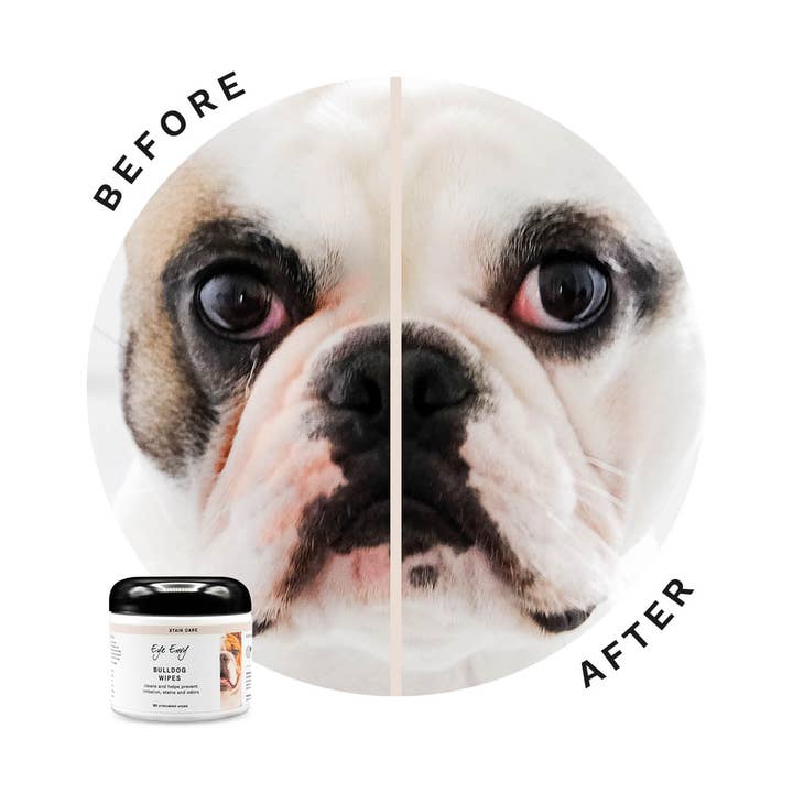 Eye Envy - Vente Kit de toilettage – chien - Eye Envy Kit de soin des plis et du nez pour bouledogue4
