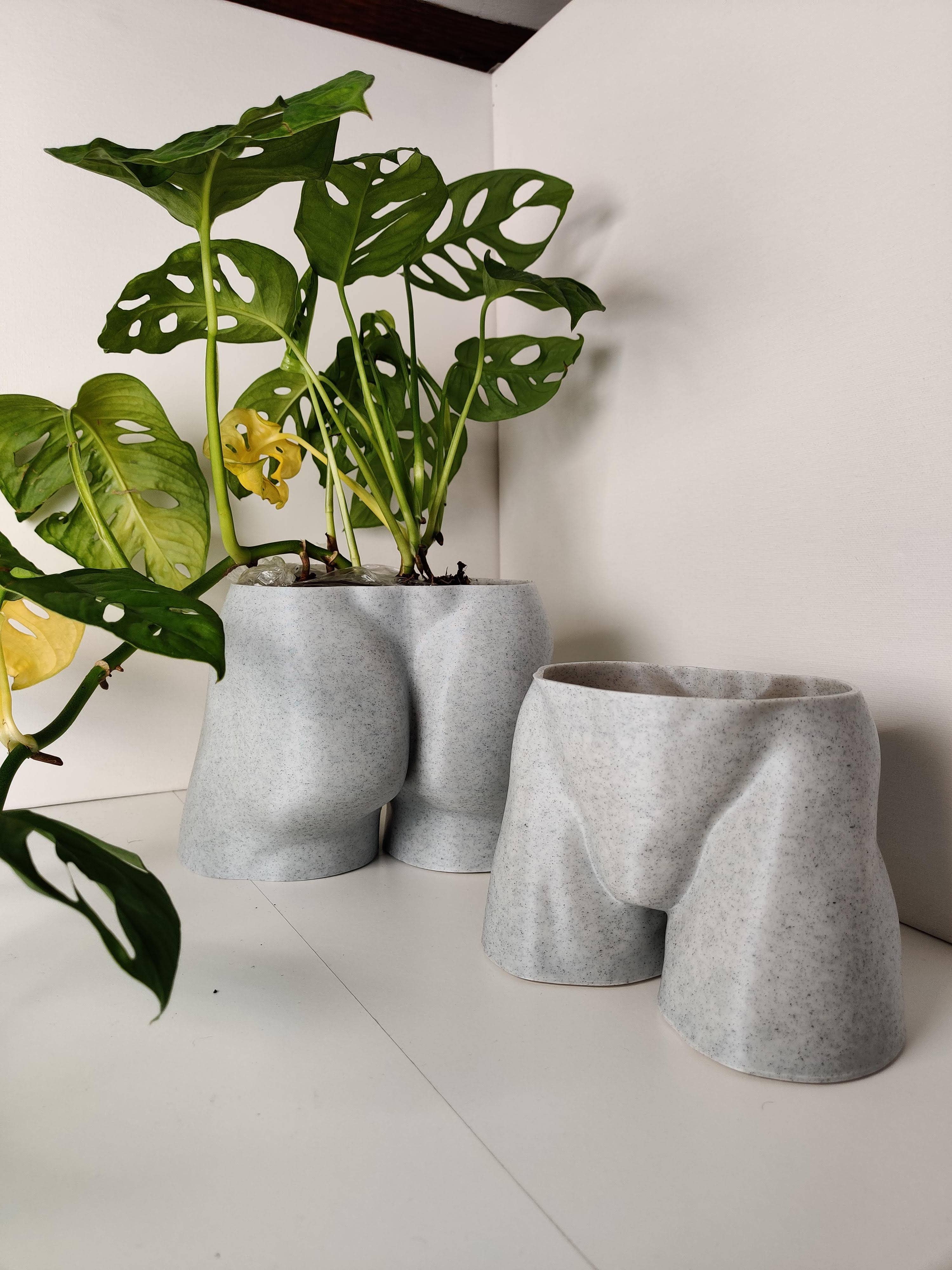 alterly – wholesale Kruka – Man Booty Planter, Man Bum Växt Kruka -3D Tryckt PLA Marmor4