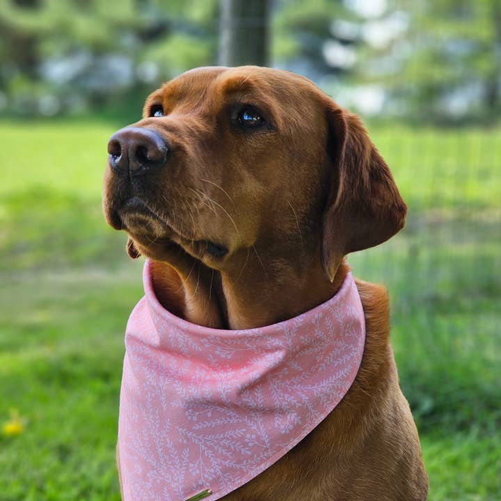 Summer pink for wholesale by Sera & Sophie