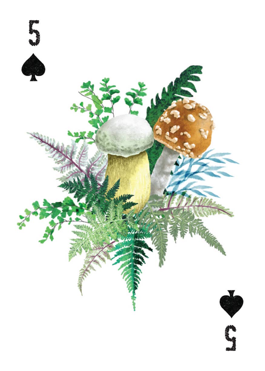 Mountaineers Books - Wholesale Playing Cards - A Woman's Place Is in the Wild10