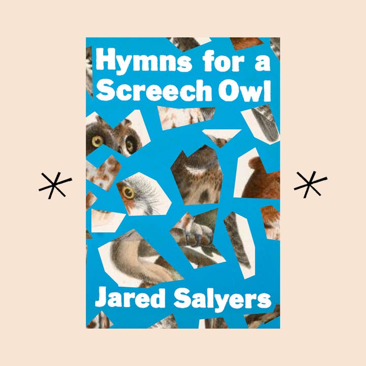 Hymnes pour un hibou des montagnes, par Jared Salyers pour la vente par Bottlecap Press