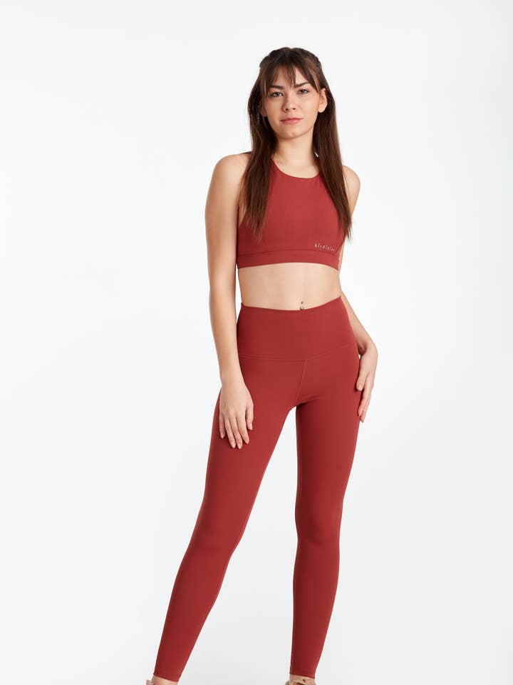 Birdiesculpt / Leggings Of A Lifetime - Cinnamon for wholesale by Birdiejay