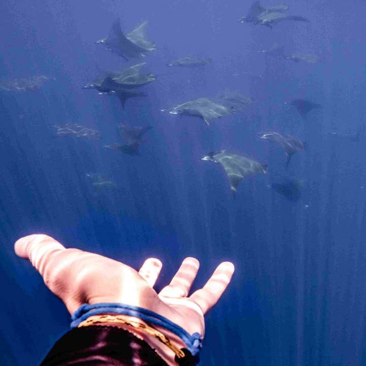 BRACENET – Engroshandel Flettet armbånd – Arctic Ocean armbånd lavet af fiskegarn8