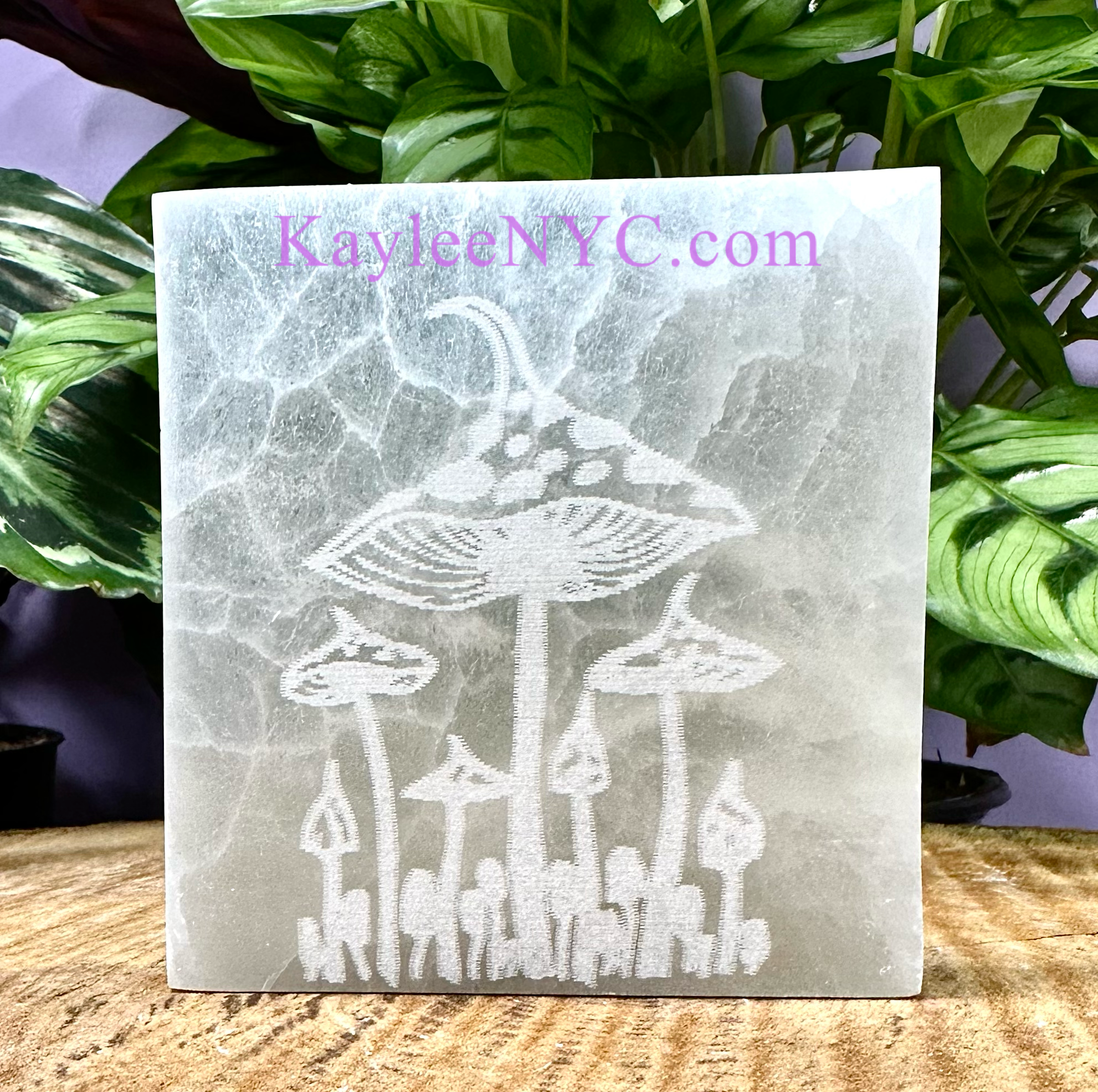 KayleeNYC - Wholesale Crystal Charging Plate - Natural Selenite Satin Spar Mushroom Charging Plate3