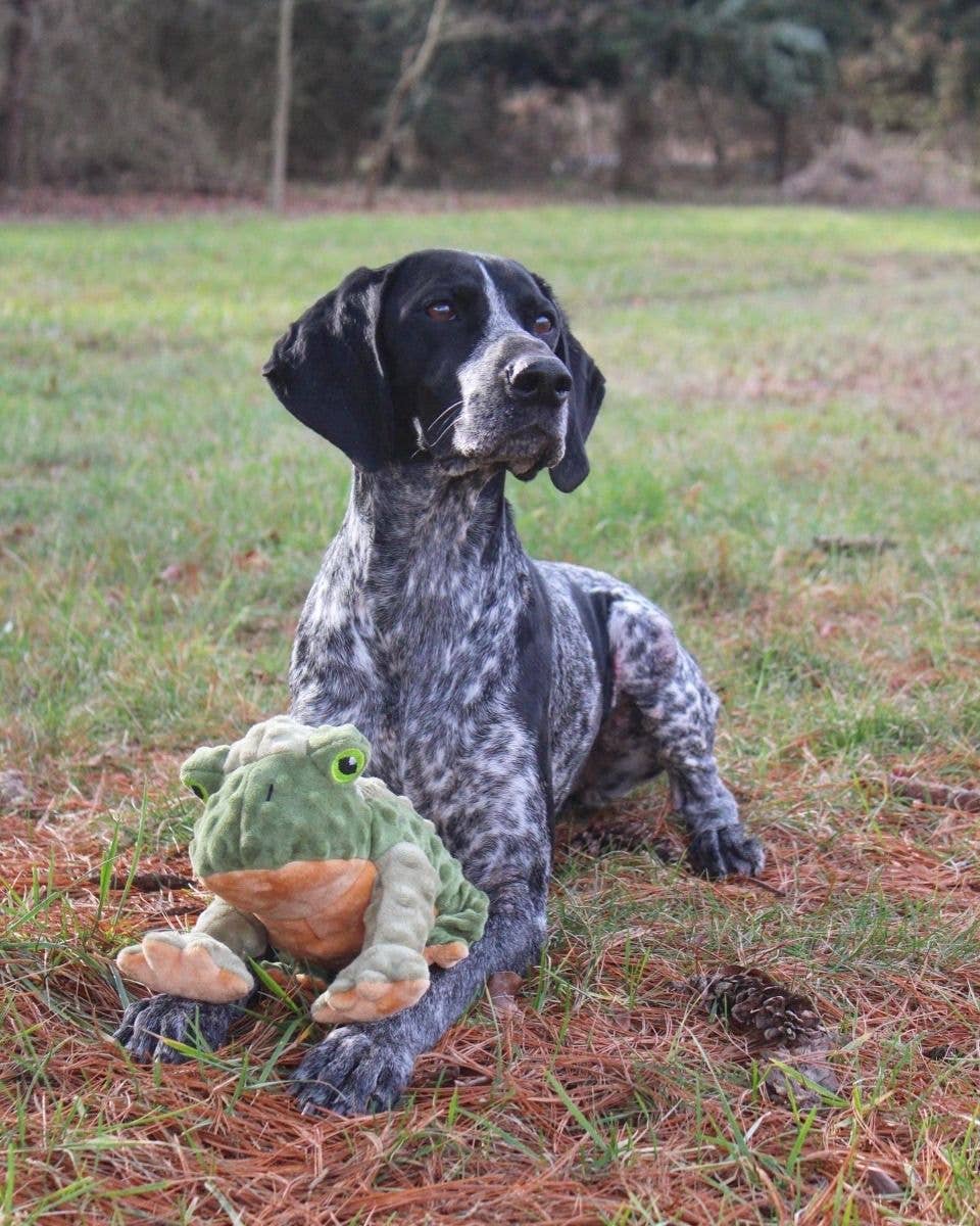 Tall Tails - Wholesale Pet Plush Toy - Dog - Tall Tails Animated Frog Dog Toy6