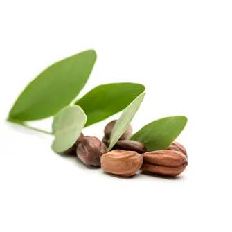 HalalEveryDay - Wholesale Bath/Body Oil - Jojoba Oil (Golden)1