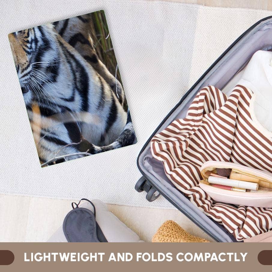 3dRose - Wholesale Bath towel - 3dRose, India, Madhya Pradesh, Bandhavgarh NP. A young tiger in tall grass., Towel5