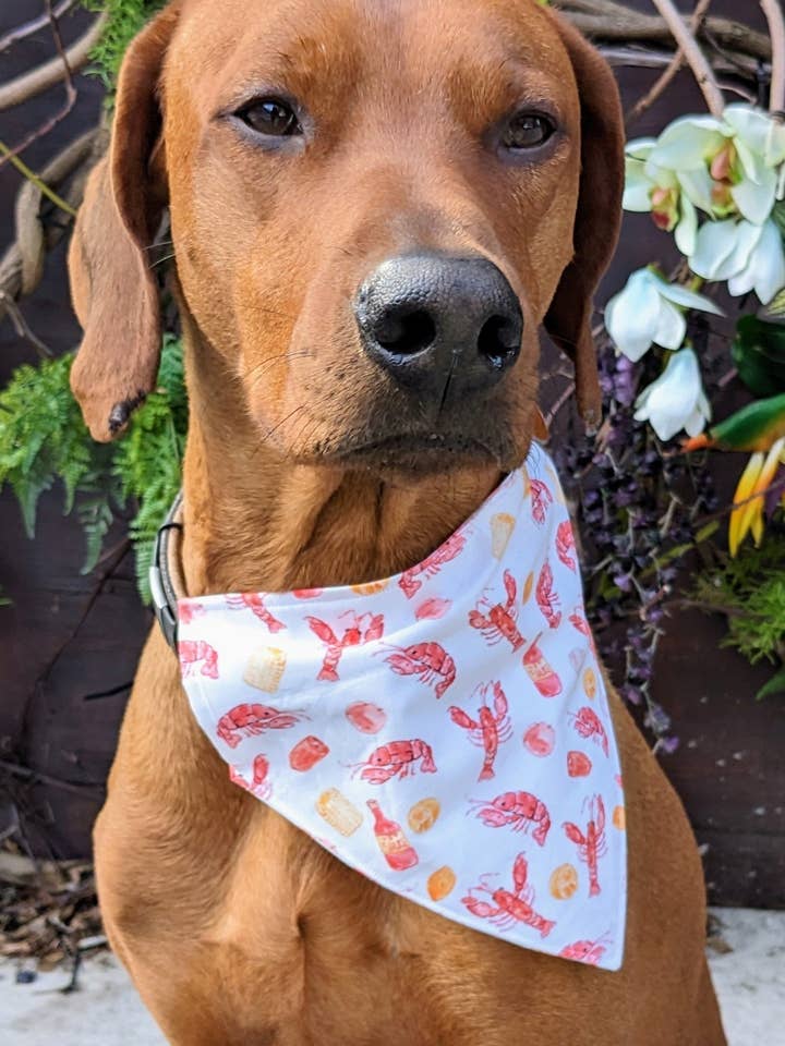 Kräftor Koka Bandana för wholesale av Koa's Ruff Life