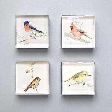 Magnets Birds - MG2 for wholesale by Eunco