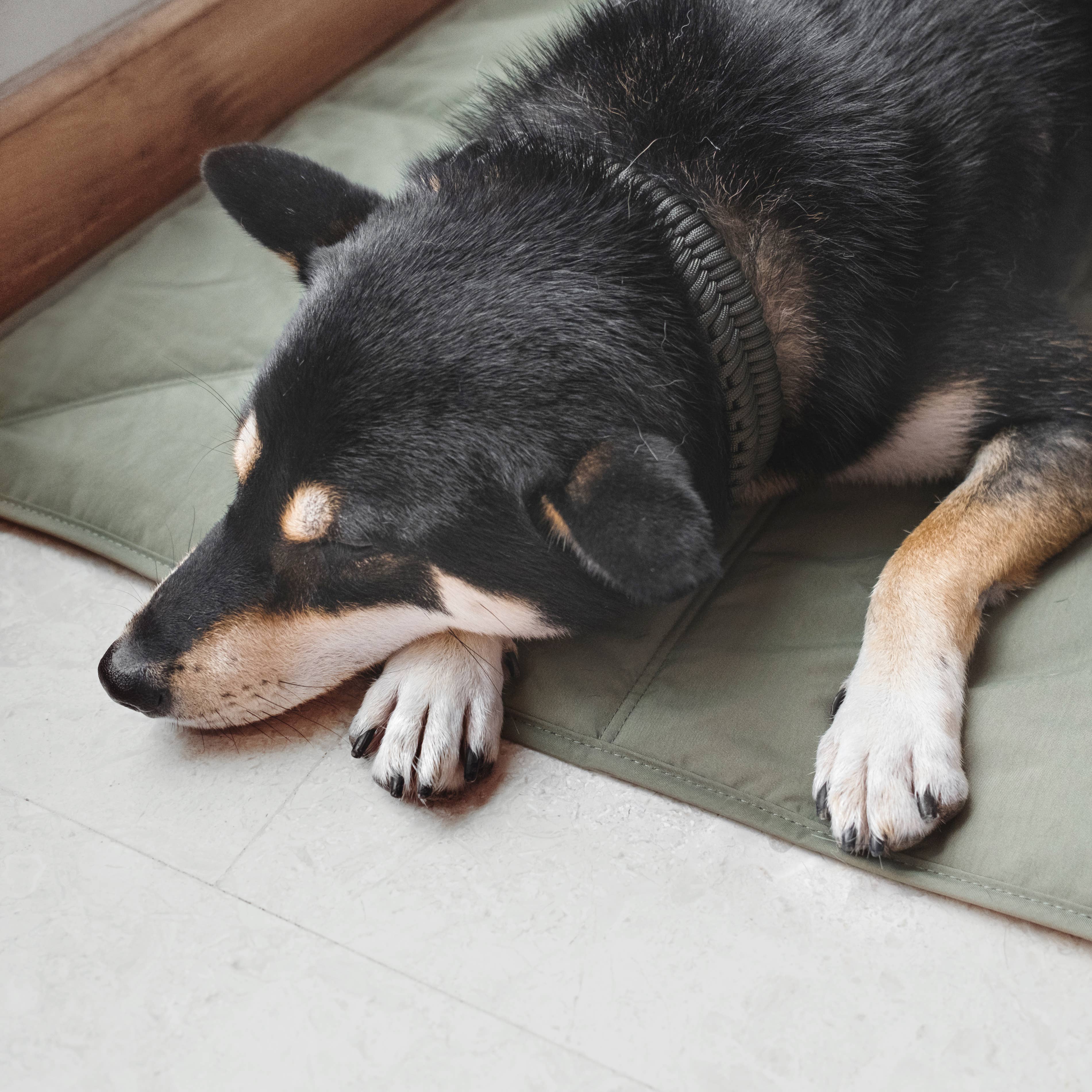 Lambwolf EU - Wholesale Pet Mat - Dog - ORII - TRAVEL MAT 2