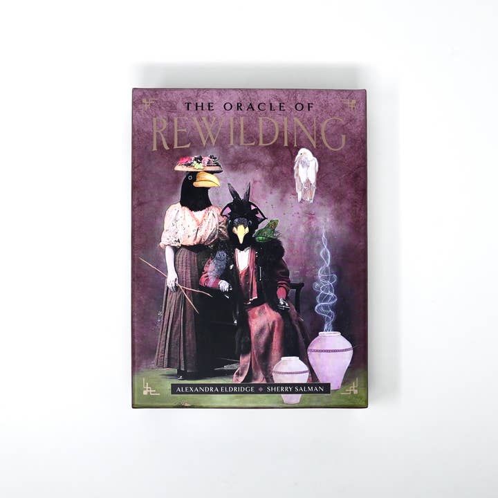 Red Wheel/Weiser LLC - Wholesale Tarot Cards - The Oracle of Rewilding: 44 Cards & 176-Page Guidebook5