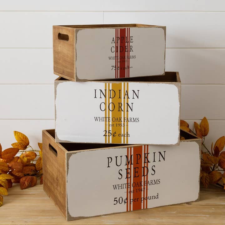 Audrey's Home & Gift - Wholesale Decorative Tabletop Object - Crates - Pumpkin Seeds, Indian Corn, Apple Cider